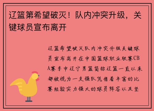 辽篮第希望破灭！队内冲突升级，关键球员宣布离开